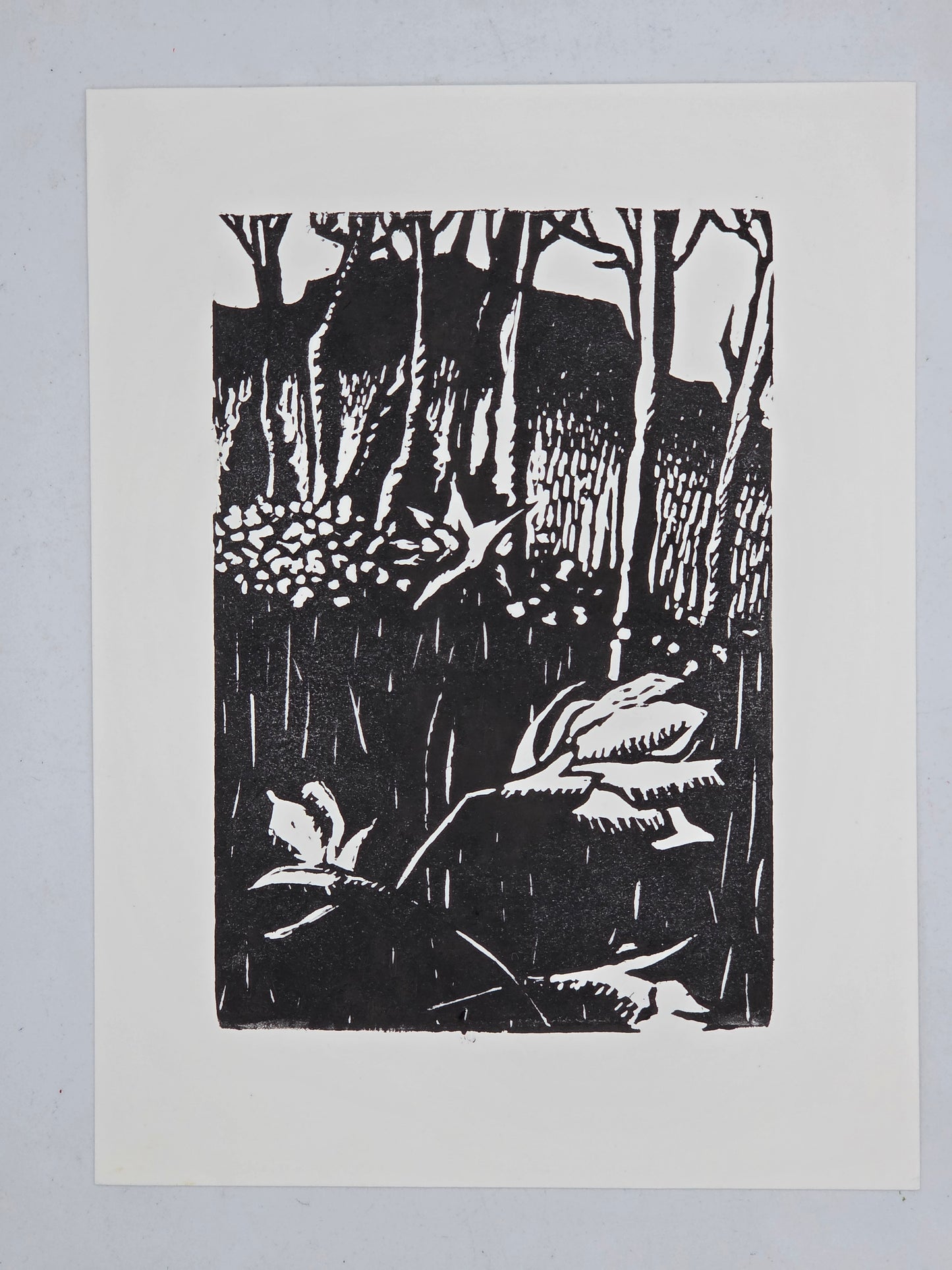 TOSS Art Print: Daffodil Flats