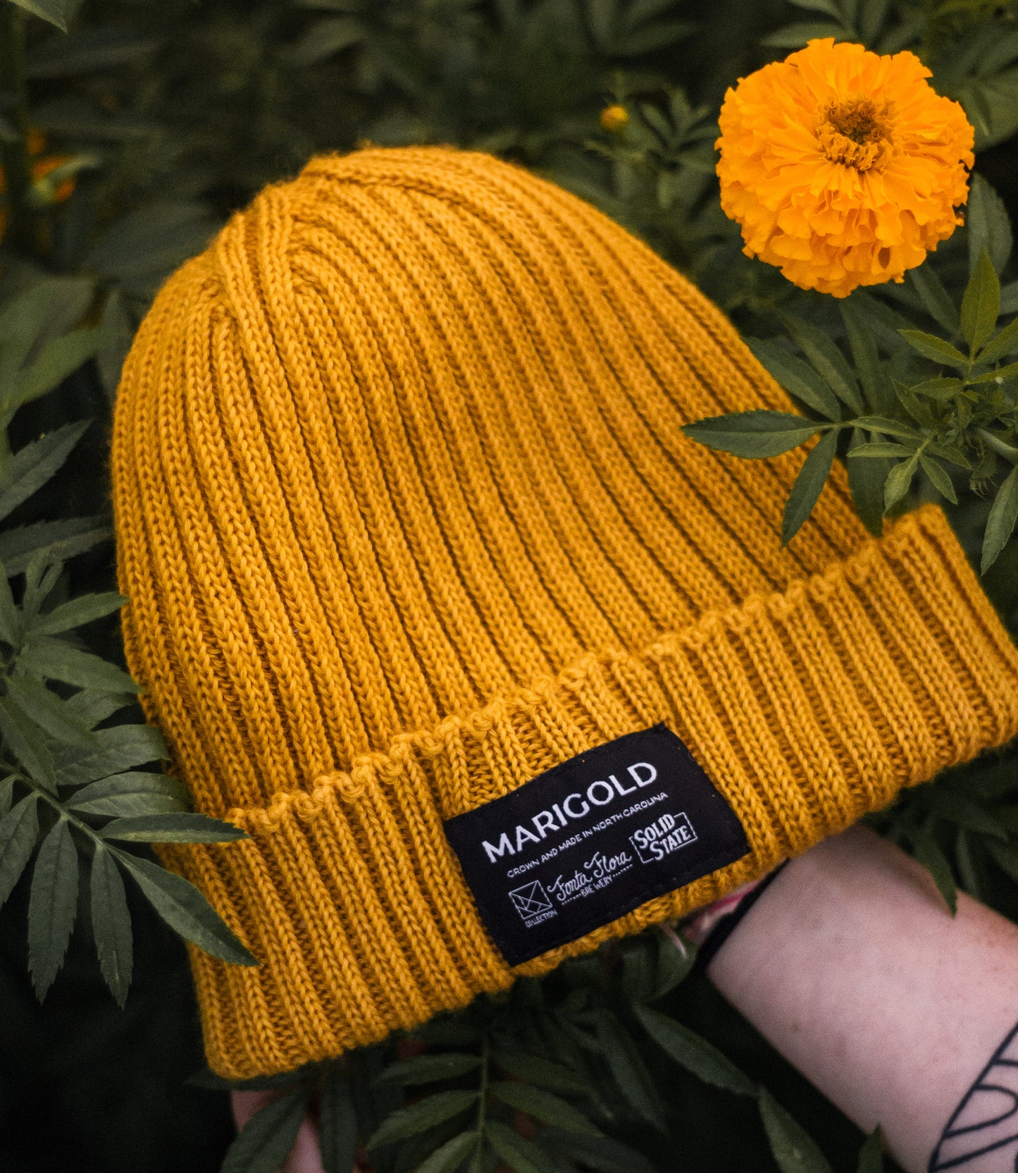 2023 Marigold Beanie