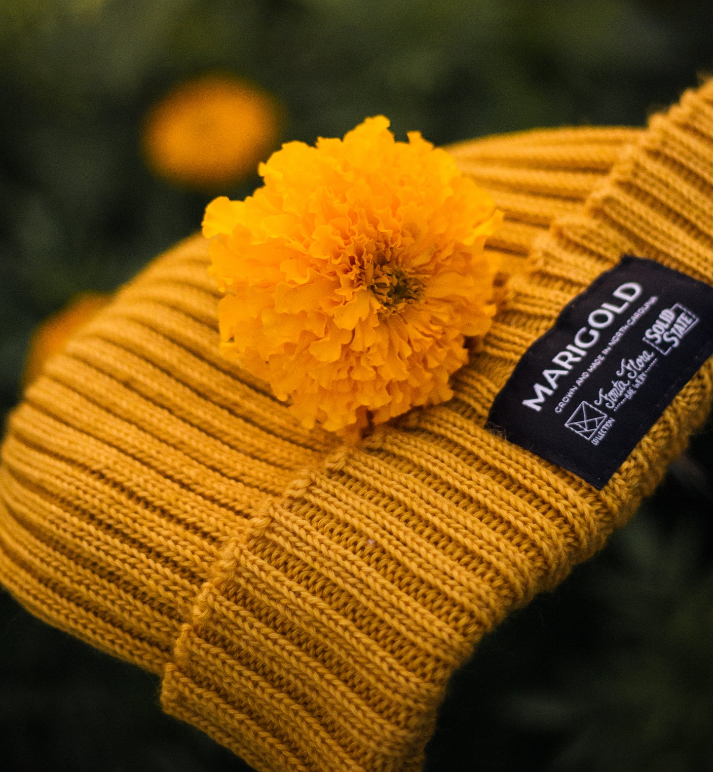 2023 Marigold Beanie