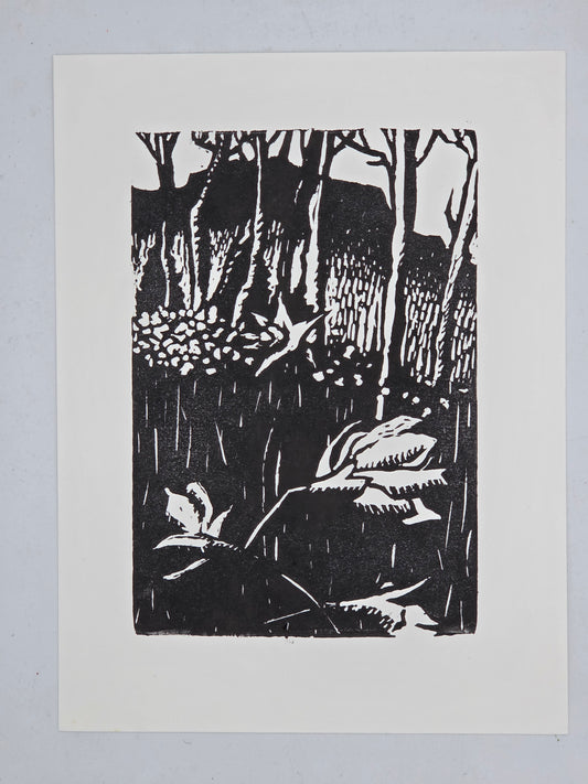 TOSS Art Print: Daffodil Flats